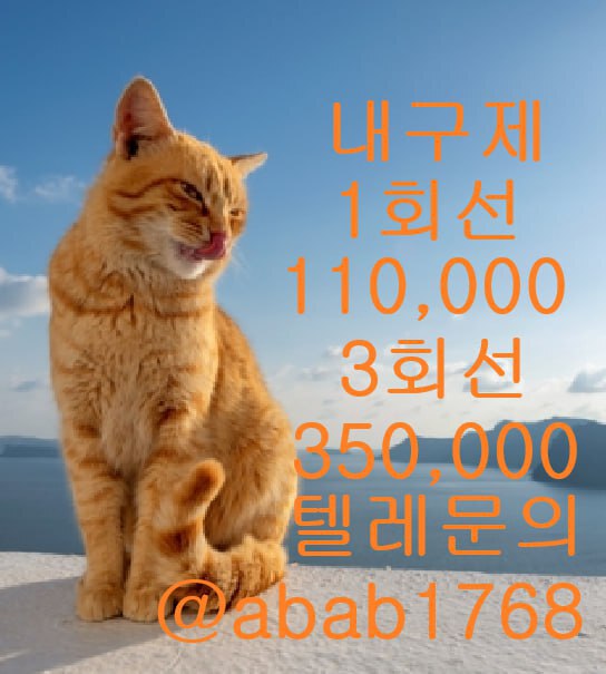 선불유심내구제 유심내구제 내구제 고액알바 당일대출 당일급전 비대면대출 비대면급전 (83).jpg
