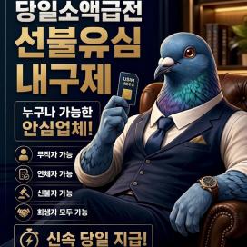 선불 유심 매입 텔.레:@simg99 비둘기 통신 (정식인증 업체) 24시 상담 가능 심내구제