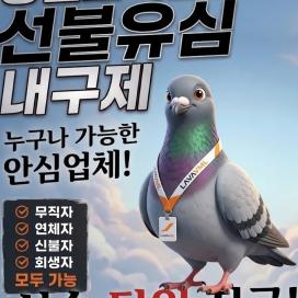 유심 내구제 텔.레:@simg99 비둘기 통신 선불 유심 맛집 당일지급 광고정심 급한돈해결ok