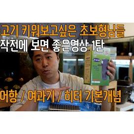 물생활 초보형님들 물고기 키우기전에 보면 좋은영상 1탄