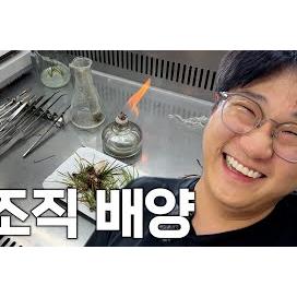 웃다가 숨 넘어감🧪🧑‍🔬 ㅣ 돈 안 받고 알려주는 식물 조직 배양 입문