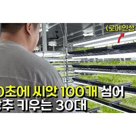 10초만에 씨앗 100개 심는 기계로 로메인상추 키워 억대매출 올리는 30대 청년농부 [바른 애그리컬쳐]