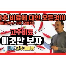 고추 재배교육 풀버전(1~5부 합본) 고추비료에 대한 모든 것! 여기에서 확인하세요! | 농사 100단